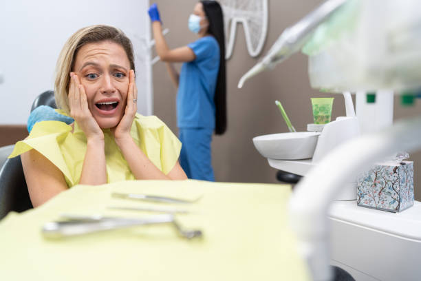 Best Chipped Tooth Repair Near Me  in Green Forest, AR